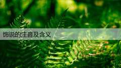 饰说的注音及含义