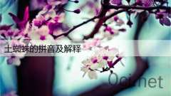 土蜘蛛的拼音及解释