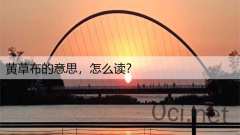 黄草布的意思,怎么读?
