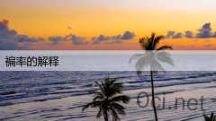 褊率的解释