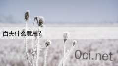 百夫什么意思?