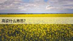 高姿什么意思?