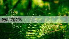 鹤板书的解释