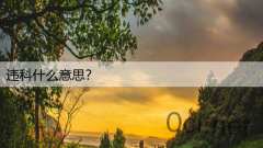 违科什么意思?