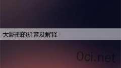 大厮把的拼音及解释