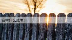 盗香什么意思?