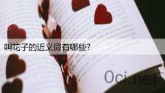叫花子的近义词有哪些?