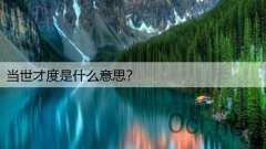 当世才度是什么意思?