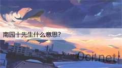 南园十先生什么意思?