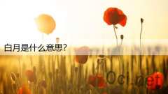 白月是什么意思?
