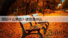 国耻什么意思?读音是什么