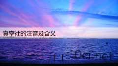 真率社的注音及含义