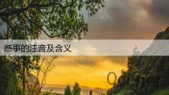 感事的注音及含义