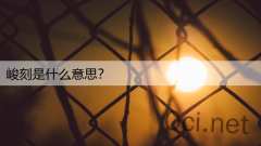 峻刻是什么意思?