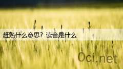 赶熟什么意思?读音是什么