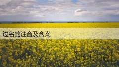 过名的注音及含义