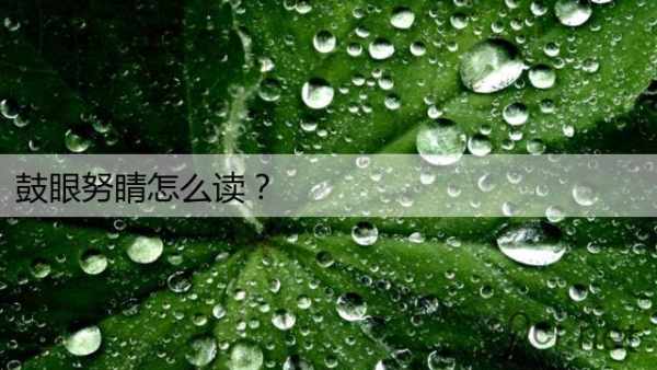 鼓眼努睛怎么读？
