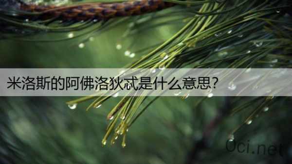米洛斯的阿佛洛狄忒是什么意思？