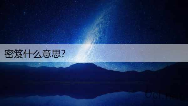 密笈什么意思？