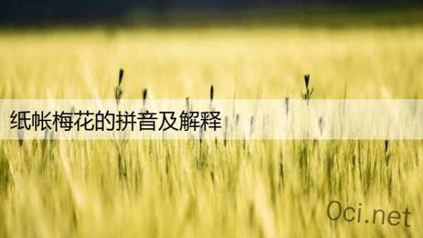 纸帐梅花的拼音及解释