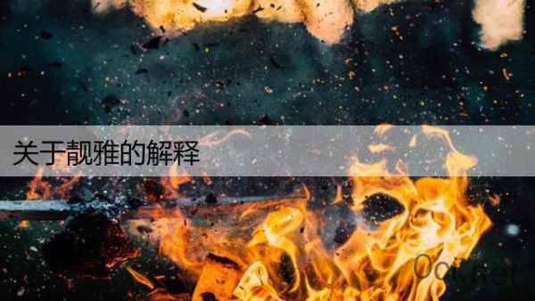 关于靓雅的解释
