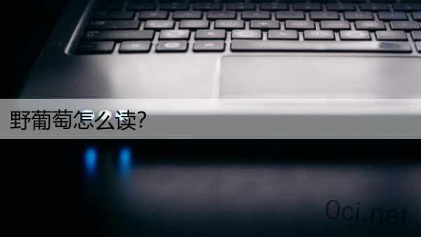 野葡萄怎么读？