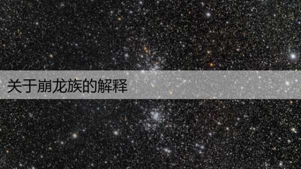 关于崩龙族的解释