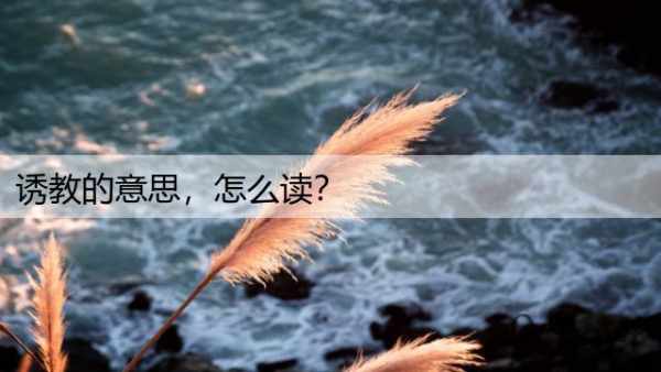 诱教的意思，怎么读？