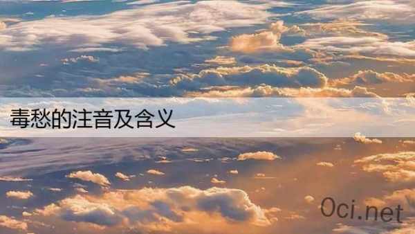 毒愁的注音及含义