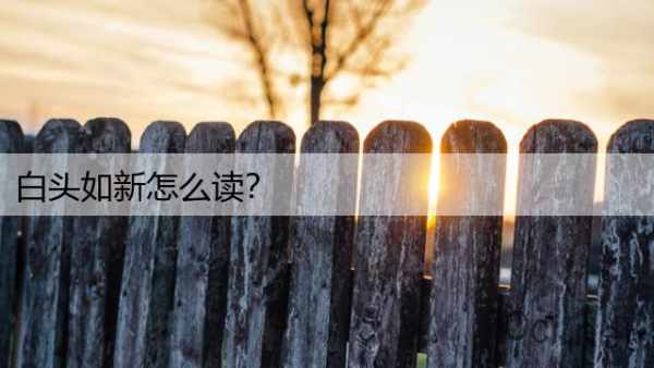 白头如新怎么读？