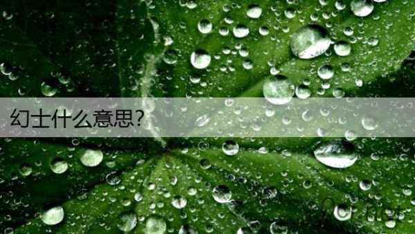 幻士什么意思？