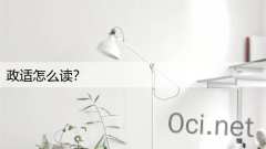 政适怎么读？