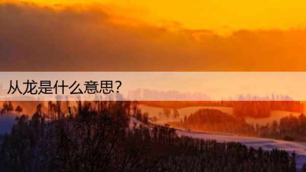从龙是什么意思？