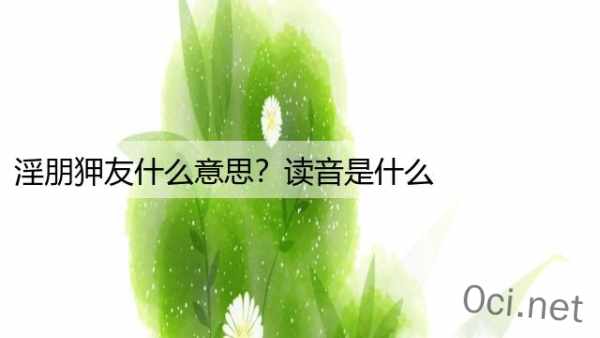 淫朋狎友什么意思？读音是什么