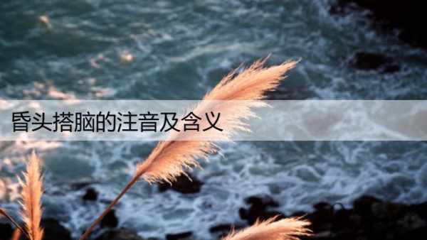 昏头搭脑的注音及含义