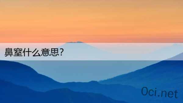 鼻窒什么意思？