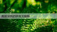 高居深拱的拼音及解释
