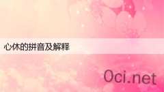 心休的拼音及解释