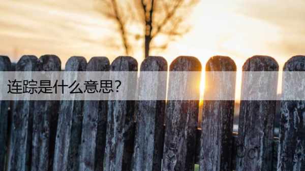 连踪是什么意思？