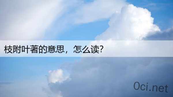 枝附叶著的意思，怎么读？