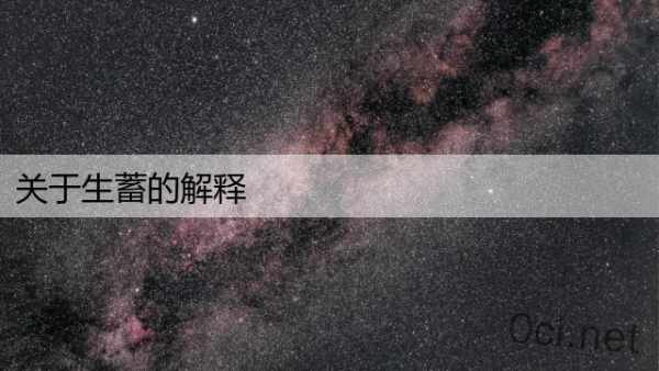 关于生蓄的解释