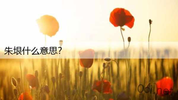 朱垠什么意思？