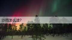 沙雨怎么读？