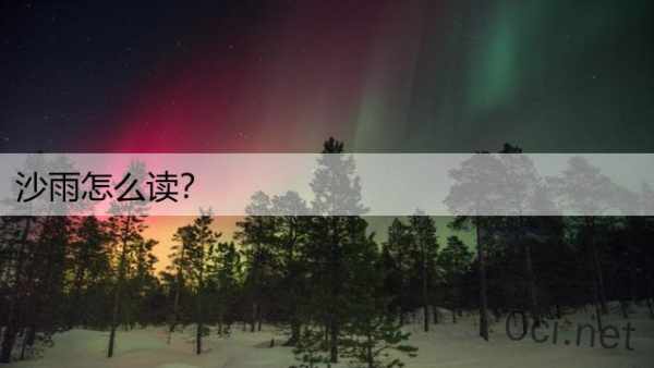 沙雨怎么读？