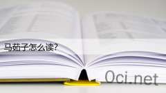 马茹子怎么读？