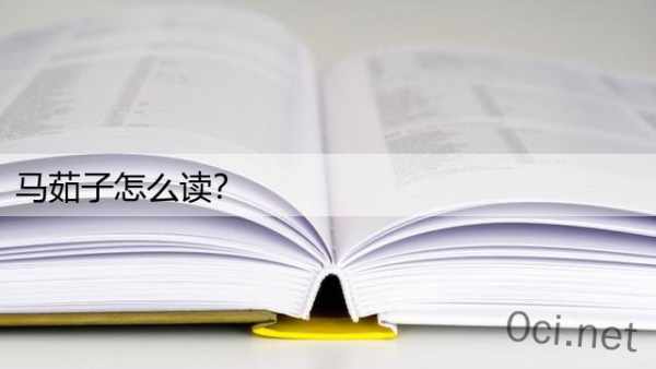 马茹子怎么读？