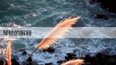 琴轸的解释