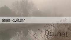 泉眼什么意思？