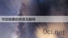 爷饭娘羹的拼音及解释