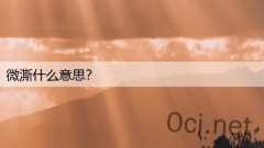 微澌什么意思？